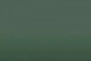 Hunter Green